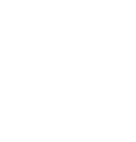 Bloomin Boxes Perth Florist Logo