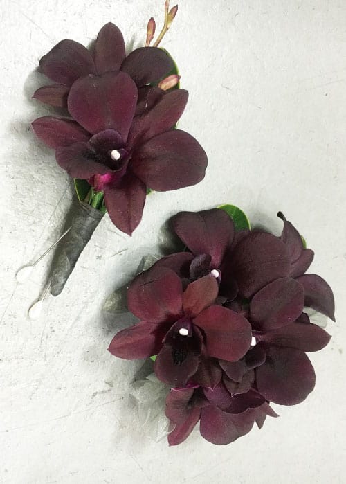 Black Cat orchid corsage and buttonhole