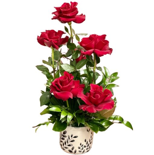 6 red rose arrangement for Valentine's Day delivery