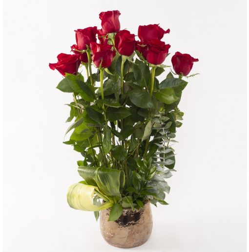 Arrangement of red roses