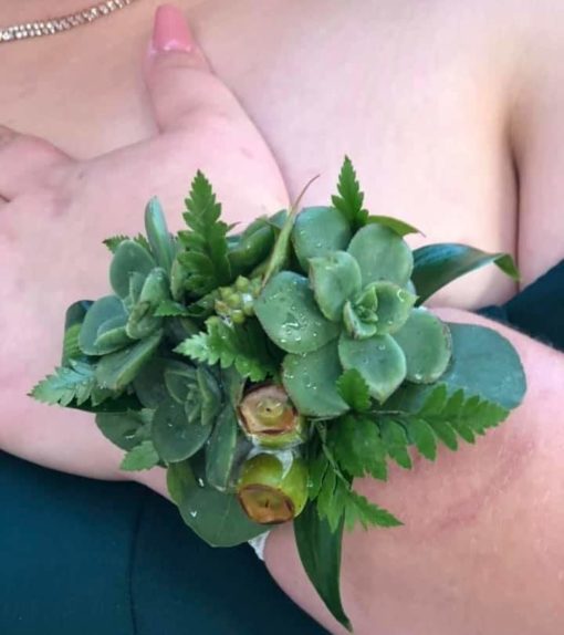 corsage - succulent