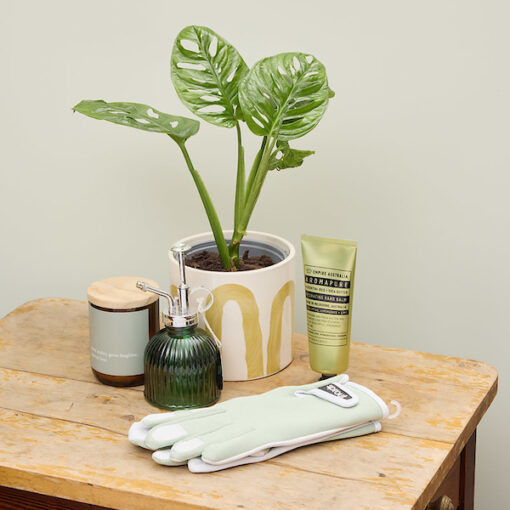 Planty Person hamper