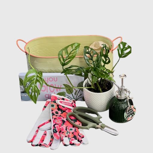 Planty Person's Gift Hamper - with Boxed Socks