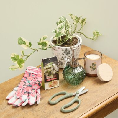 Planty Person Gift Hamper