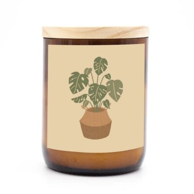house plant - candle