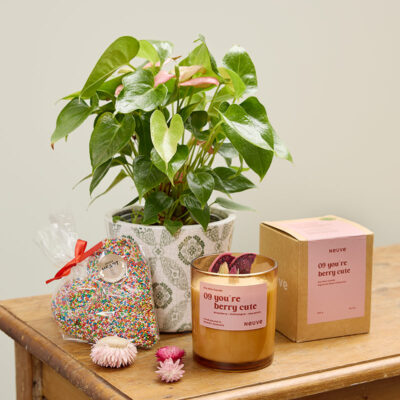 Plant Hamper Gift