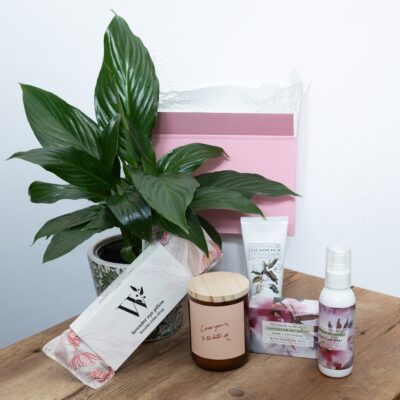 You're Very Cute Plant Hamper